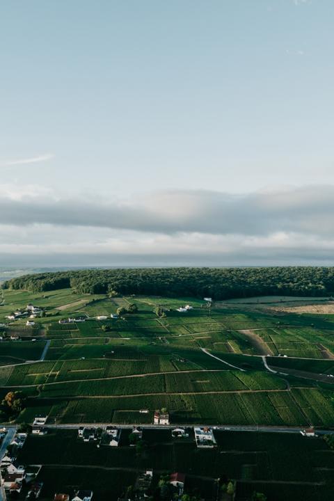 DÉCOUVERTE DE NOS TERROIRS DANS LA VALLÉE