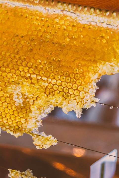 L'apiculture au domaine.