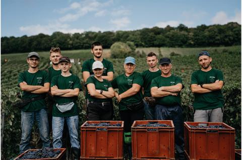 Vendanges 2022
