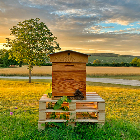 L'apiculture au domaine. | Maison Gamet