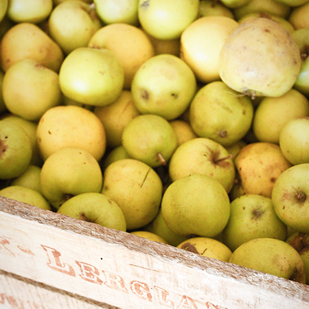 Le cidre de la maison | Maison Gamet